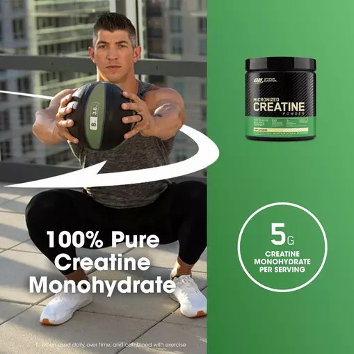 Optimum Nutrition Micronized Creatine Powder Unflavored 0.66 lb (60 Servings) España | ZHJG-09185